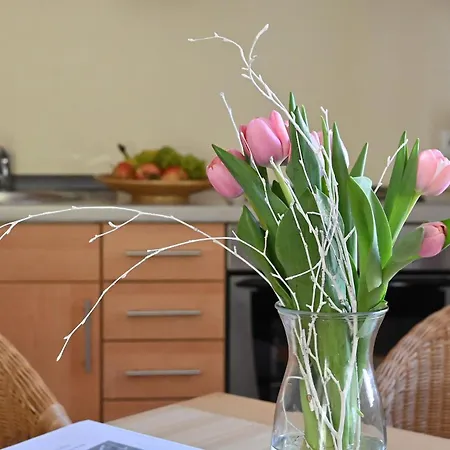 Villa Celia Sellin Appartement *